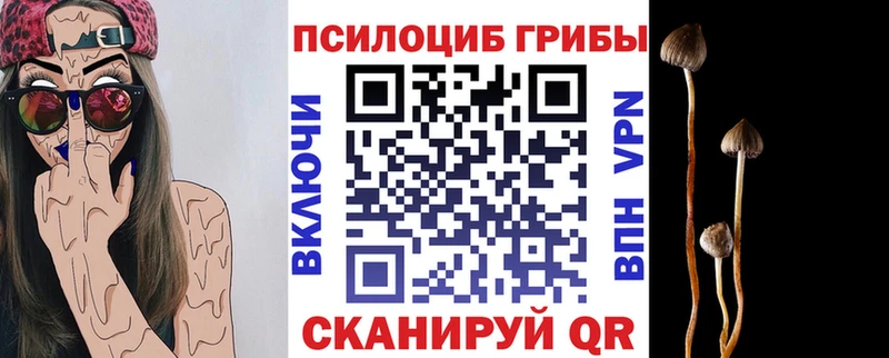 наркотики  Краснослободск  Галлюциногенные грибы Psilocybe 