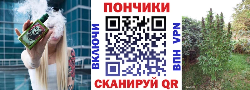 купить   Краснослободск  Бошки Шишки Amnesia 